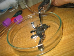 Civəni satmaq istəyən şəxslər saxlanıldı