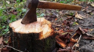 Cəlilabaddakı qətlin təfərrüatı - Həbsdən qayıdıb, qardaşının arvadından qisas almaq istəyib 