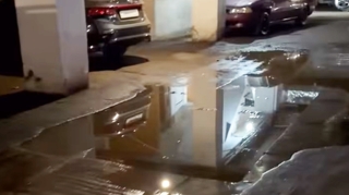 “Ümumiyyətlə, bura baxan var?” - VİDEO