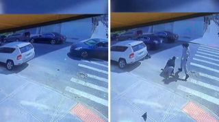 Cinayət törədib qaçan şəxslər qəzaya düşdülər – Biri tutuldu, o biri axtarılır - VİDEO 