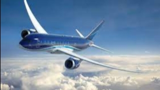 AZAL Bakı-Naxçıvan-Bakı reysinə aviabiletlərin alışı ilə bağlı müraciət edib