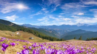 Aprel ayının son gününə olan hava proqnozu açıqlanıb 