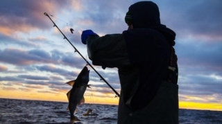 Qara dənizdə balıq ovu qadağan olundu 