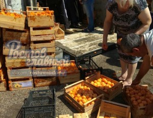 Ərik dolu yük maşını aşdı - FOTO