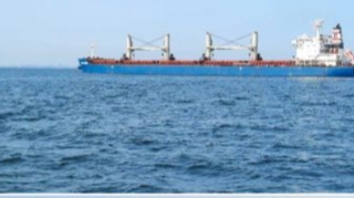 Daha 2 gəmi Odessa limanını tərk etdi 