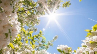 Avqust ayına olan hava proqnozu açıqlandı 