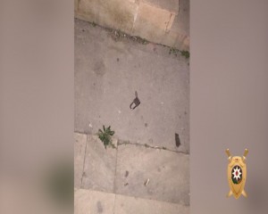 Aptekdən oğurluq etmək istəyən keçmiş məhkum saxlanılıb - FOTO