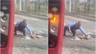 Yoldakı çuxurdan təngə gələn  “BakuBus” sürücüsü çıxış yolunu belə tapdı - VİDEO 