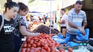 Azərbaycanda meyvə qıtlığının səbəbi açıqlandı