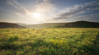 Son sutkada Azərbaycanda 621 nəfər koronavirusa yoluxub 