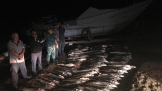 Хəzər dənizində 100-dən çox nərə balığı tutan şəxslər saxlanıldı  - FOTO