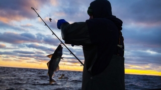 Xəzər akvatoriyasında balıq ovu dayandırılır 