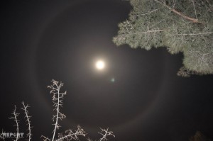 Ay ətrafında nəhəng halqa müşahidə olunub - FOTO