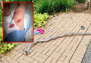 Ata dörd yaşlı oğlunu ilanının ağzından qurtardı - FOTO