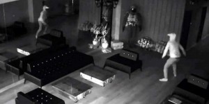 Güzgüdə özünü görən oğrunun gülməli qaçış anı - VİDEO