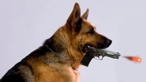 İt sahibinə tapançadan atəş açaraq onu yaralayıb