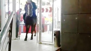 Sərxoş şəxs mağazaya atla daxil olub - VİDEO