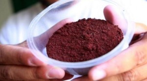 Bu qidaların hazırlanmasında böçəklərdən istifadə olunur - VİDEO