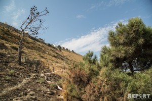 “Divarlarındakı çatların üzərində mayaklar quraşdırılıb”