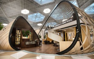 Aeroportda soyuq silah aşkarlandı