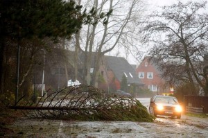 Qasırğa qatarların hərəkətini dayandırıb - FOTO