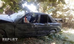 Avtomobil ağaca çırpıldı: üç nəfər xəsarət alıb - FOTO
