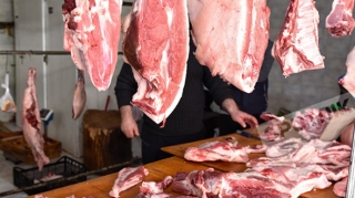 Yeddi restoranda "Qırmızı kitab"a  düşən heyvanların əti satıldı