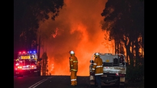 Avstraliyada meşə yanğınları - 60 min hektar sahə kül oldu 