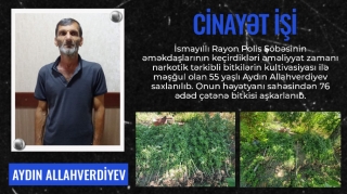 Bostan bitkilərinin arasında çətənə kolu yetişdirdi - VİDEO