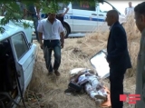 Maşının qarşısına it çıxdı, sürücü öldü - Azərbaycanda