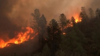 Yerusəlim yaxınlığında meşə yanğını  başlayıb