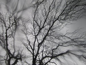 İstirahət günlərində müşahidə olunacaq hava proqnozu açıqlanıb