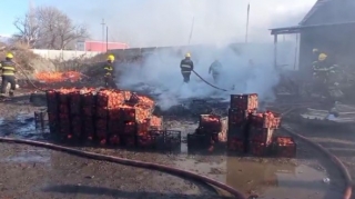 Zaqatalada xurma sexi yandı - FOTO