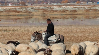 Altı uşaq atası olan 37 yaşlı çobanın meyiti tapıldı 