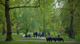 Bakıda parkın içində tikilən obyekt söküldü  - VİDEO