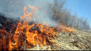 Zəngilandakı yanğını polis, FHN və DSX əməkdaşları söndürdü - VİDEO