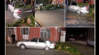 Ağdaşda güclü külək bir sıra fəsadlar törədib  - FOTO