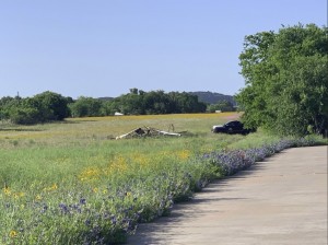 Təyyarə qəzası baş verdi: ölənlər var - FOTO
