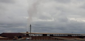 Atmosfer havasına tüstü atan kərpic zavodu 2500 manat cərimələnib   