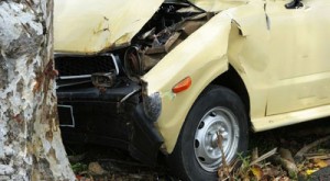 Zaqatalada minik avtomobili ağaca çırpılıb