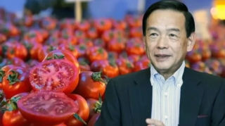 Əvvəllər 2 trilyon dollarlıq aktivləri idarə edirdi: indi üç nəfərlə pomidor satacaq 