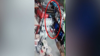 Şəmkirdə oğurluq və dələduzluq edən şəxslər saxlanılıb - FOTO 