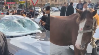 Bakıda minik avtomobili atla toqquşdu  - VİDEO