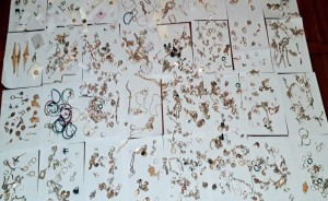 "Mercedes"dən külli miqdarda qızıl bəzək əşyaları aşkarlanıb - FOTO