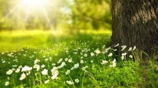 Прогноз погоды в Азербайджане на 29.10.2025 