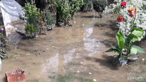 Balakəndə güclü yağış bir sıra fəsadlar törədib - FOTO