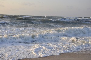 DİN və ETSN Bakıda Xəzəri çirkləndirənlərə qarşı reydlərə başladı