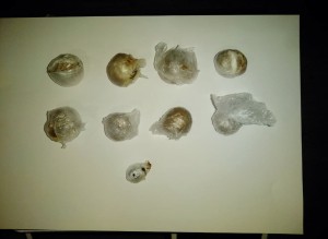 Daxili orqanında narkotik vasitələr aşkarlandı