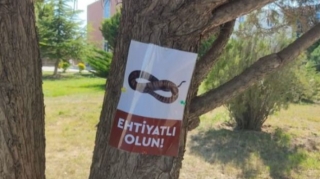 Universitetdə müzakirələrə səbəb olan ilan elanı ilə bağlı AÇIQLAMA 