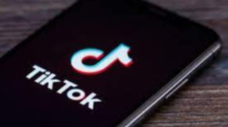 В Азербайджане могут заблокировать TikTok? - ЗАЯВЛЕНИЕ 